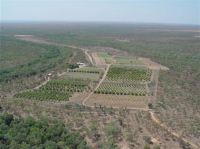 Property in Katherine - $1,800,000