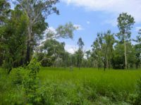 Property in Fly Creek - $695,000