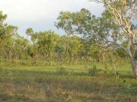 Property in Marrakai - $POA