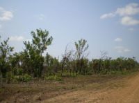 Property in Dundee Downs - $155,000