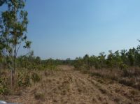 Property in Marrakai - $145,000