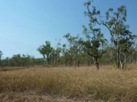 Property in Marrakai - $149,000