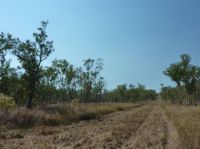 Property in Marrakai - $149,000