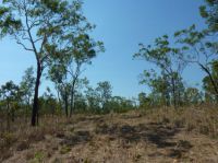 Property in Marrakai - $149,000