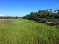 Property in Acacia Hills - AUCTION