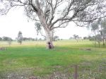 Property in Gerogery - Sold