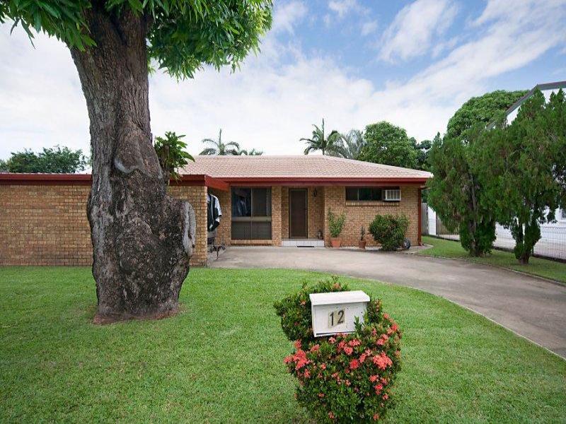 12 Christina Pl Aitkenvale Queensland House for Sale RE/MAX Australia