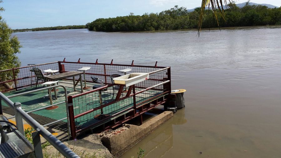 39 Molloy Crescent Nome Queensland for Sale RE/MAX Australia