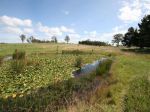 Property in Tenterfield - $70,000
