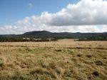 Property in Tenterfield - $767,000