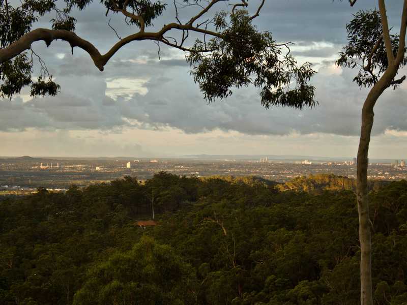 40 Chesterfield Drive Bonogin Queensland House for Sale RE/MAX Australia