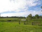 Property in Purga - $595,000 NEG