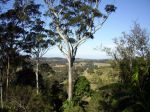Property in Mapleton - $300 Weekly