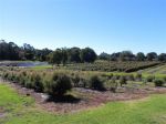 Property in Witta - $595,000