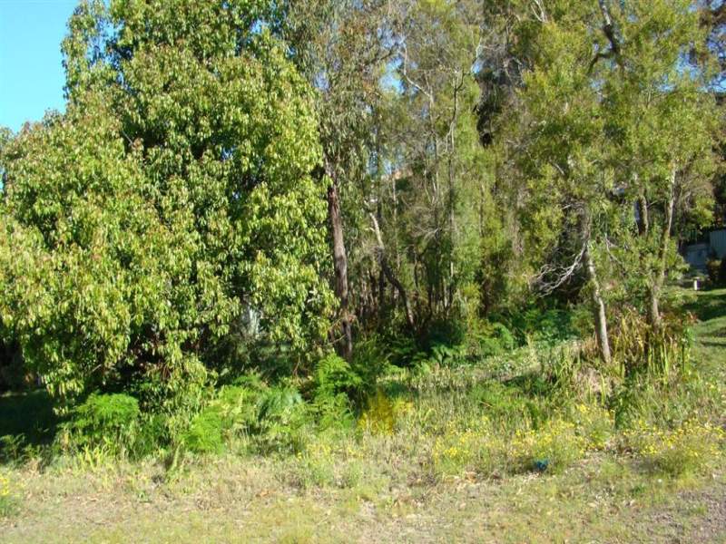 Property in Nelson Bay - Sold