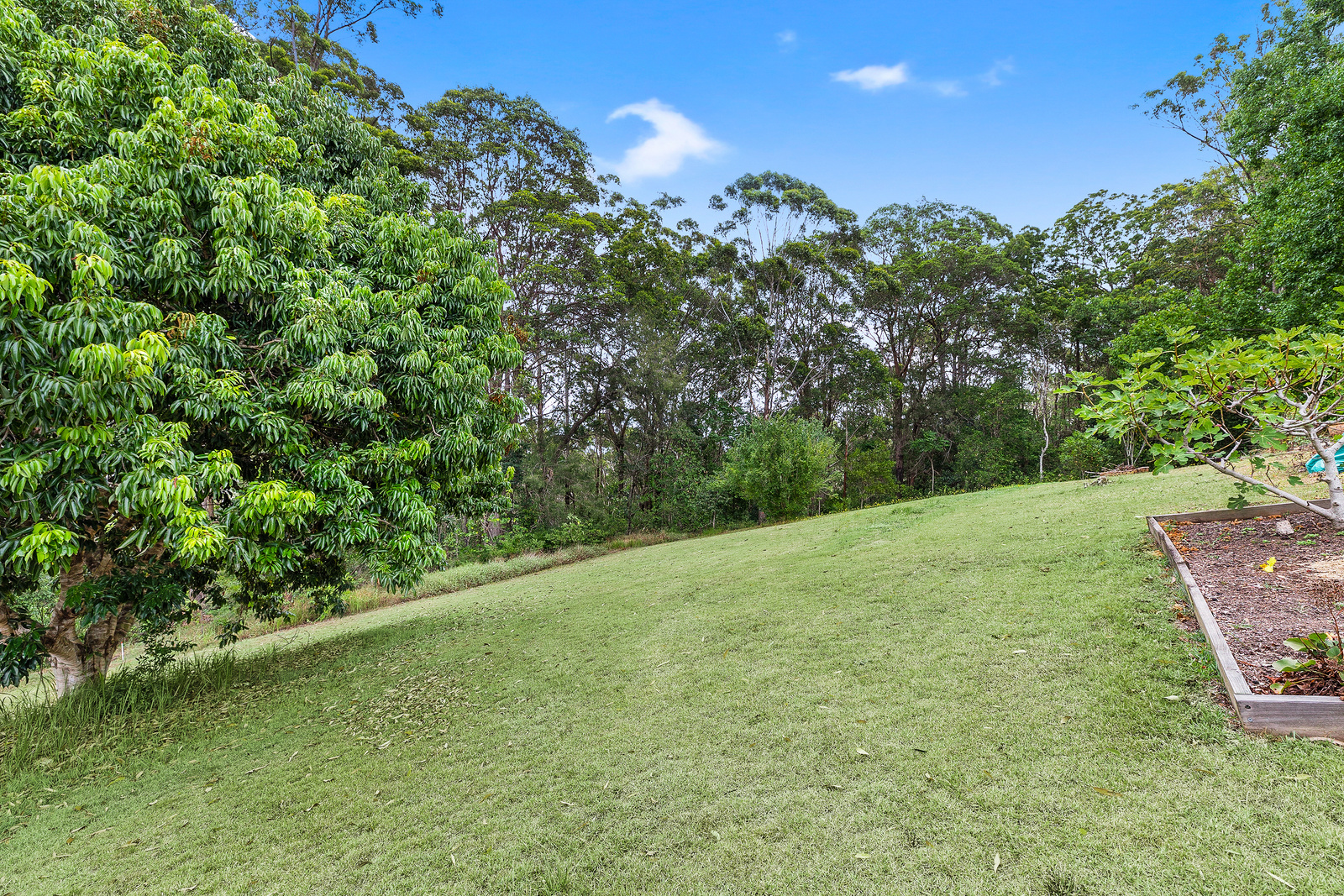 242 Upper Rosemount Road Rosemount Queensland House for Sale - RE/MAX ...