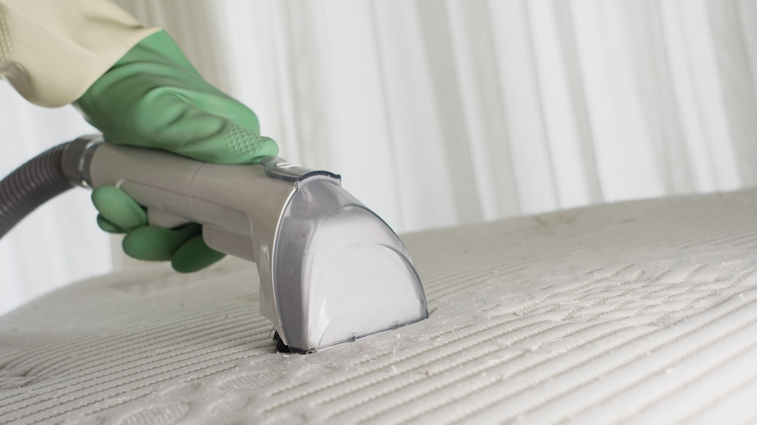 Upholstery, Carpet & Mattress Cleaning
