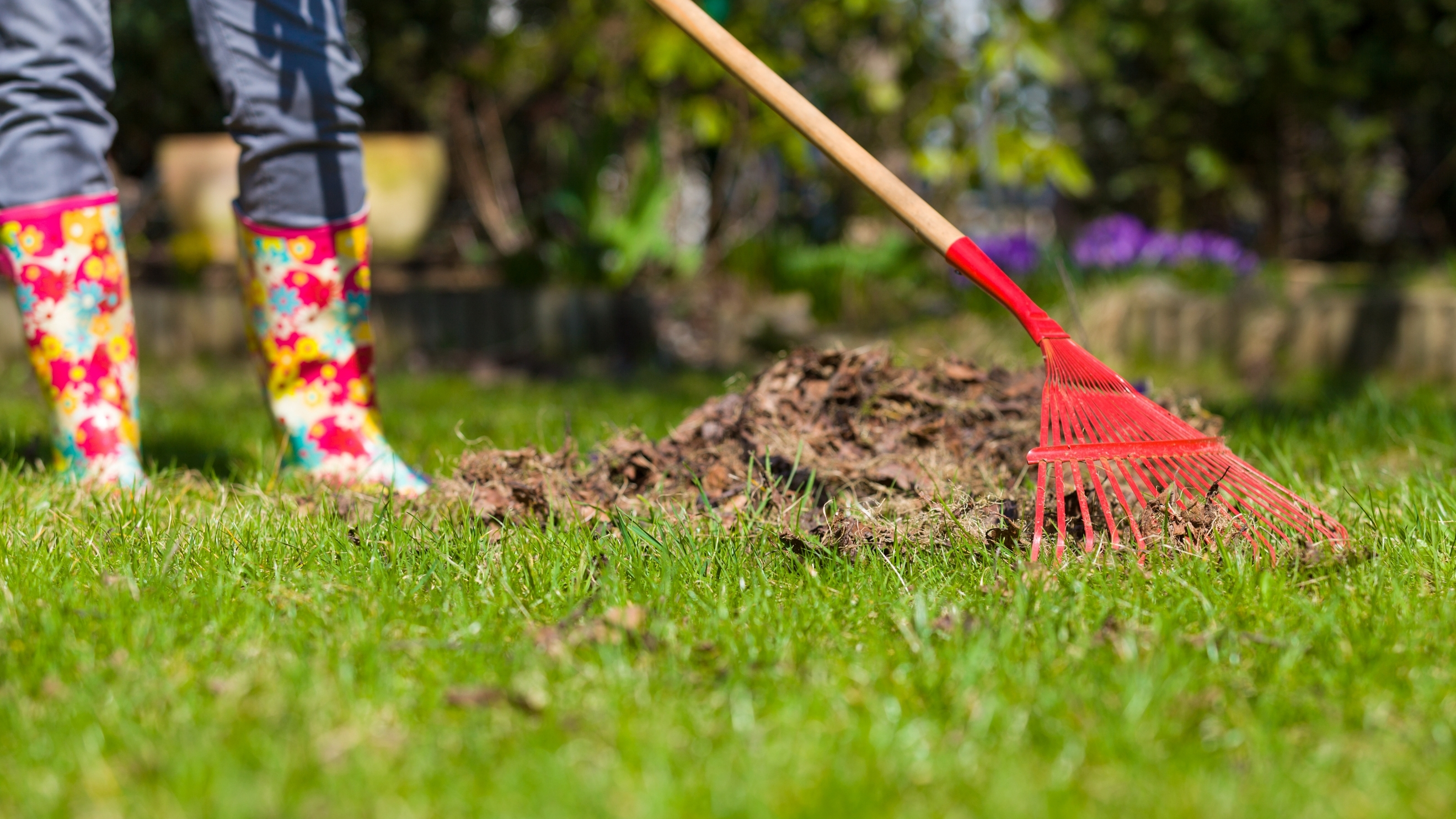 Basic Gardening and Rubbish Removal