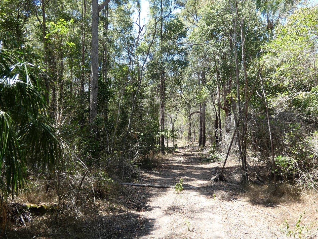 Lot 44 Tableland Road Mount Maria Queensland for Sale - RE/MAX Australia