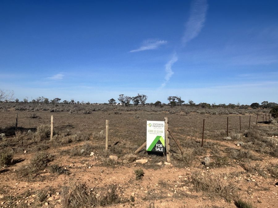 Section 64 Cemetery Road, Morgan, Morgan - Thumbnail 5