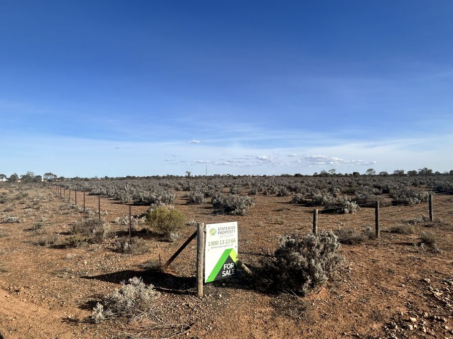 Section 65 Goyder Highway, Morgan, Morgan - Thumbnail 5