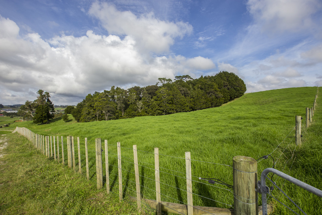 220 Falls Road Warkworth Auckland House & Land for Sale - RE/MAX New