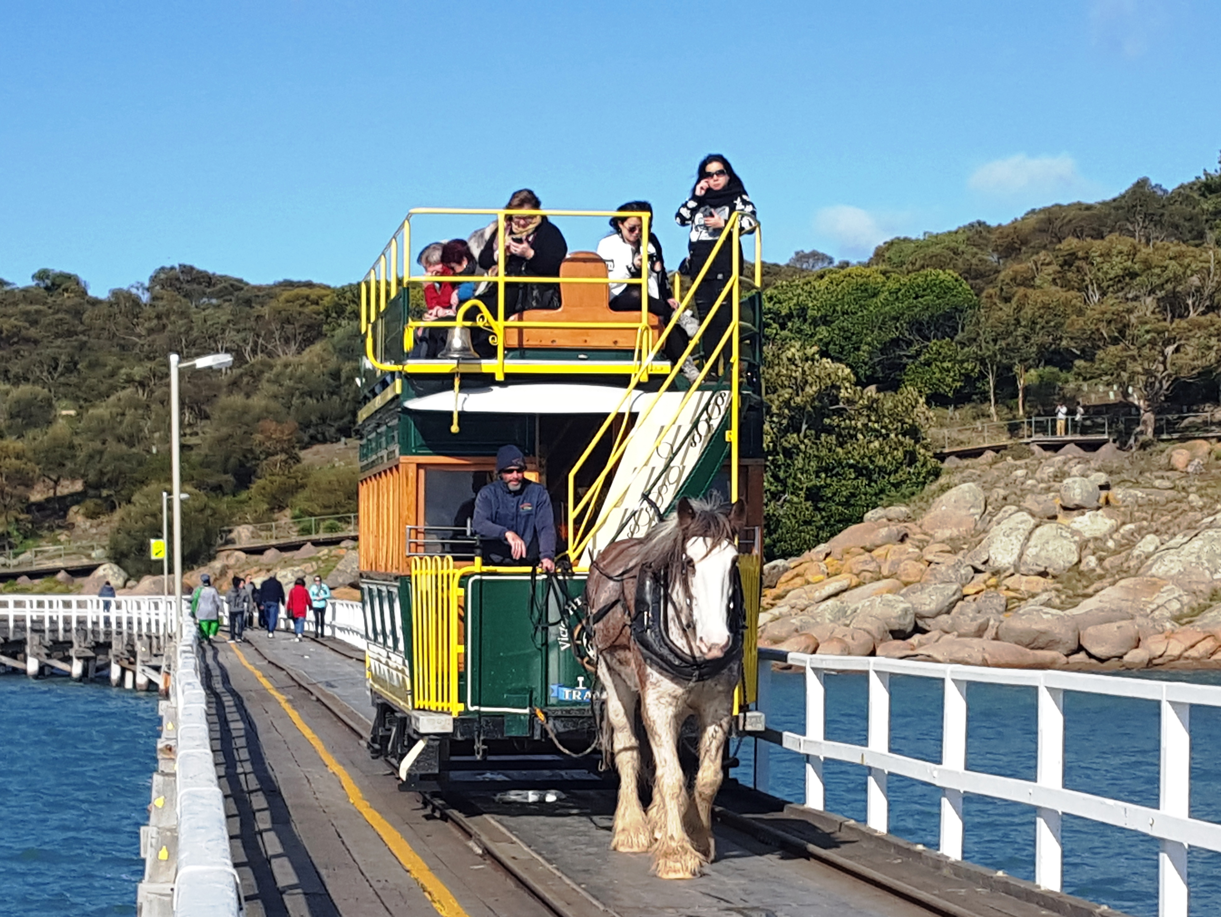 Granite Island - Victor Harbor
