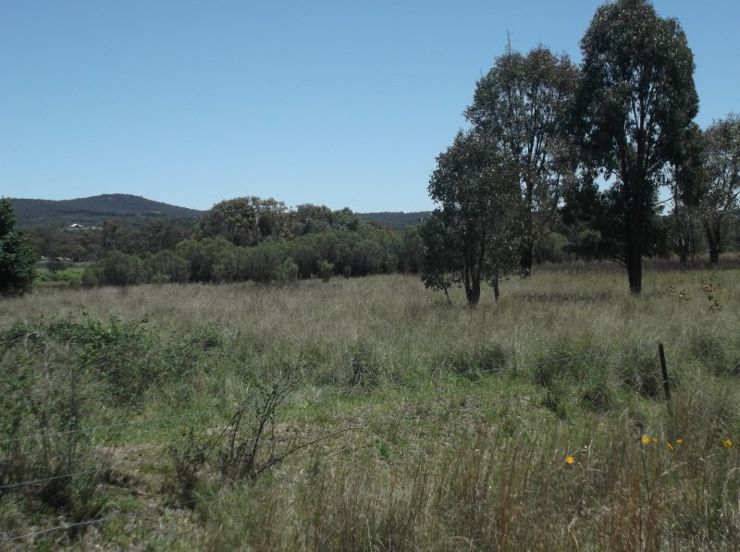 Property in Glen Aplin - Sold