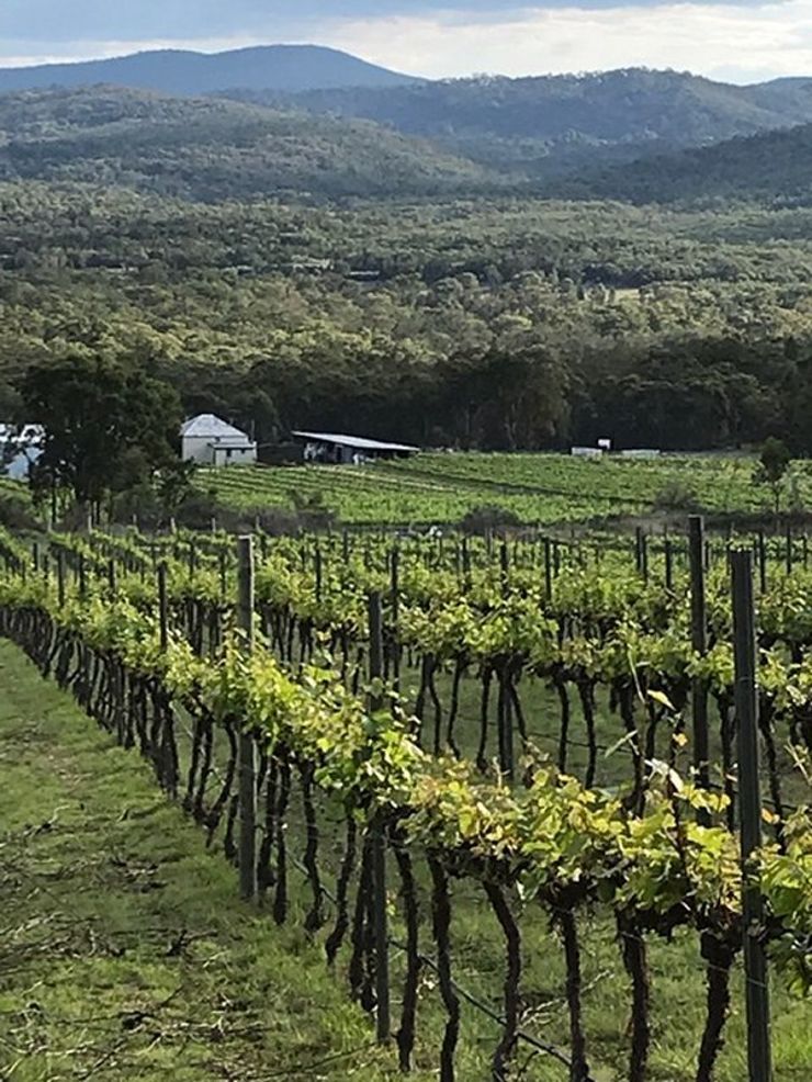 Property in Wyberba - Sold