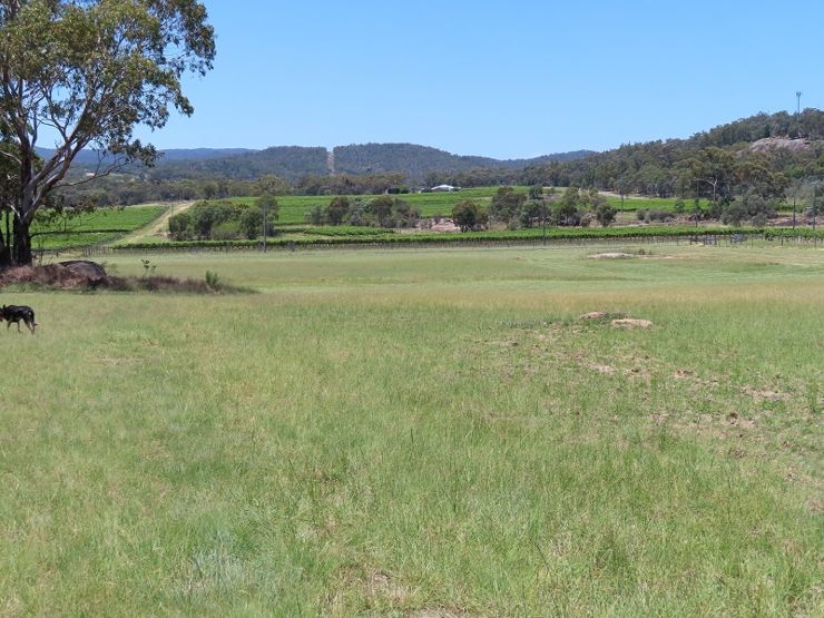 Property For Sale in Ballandean