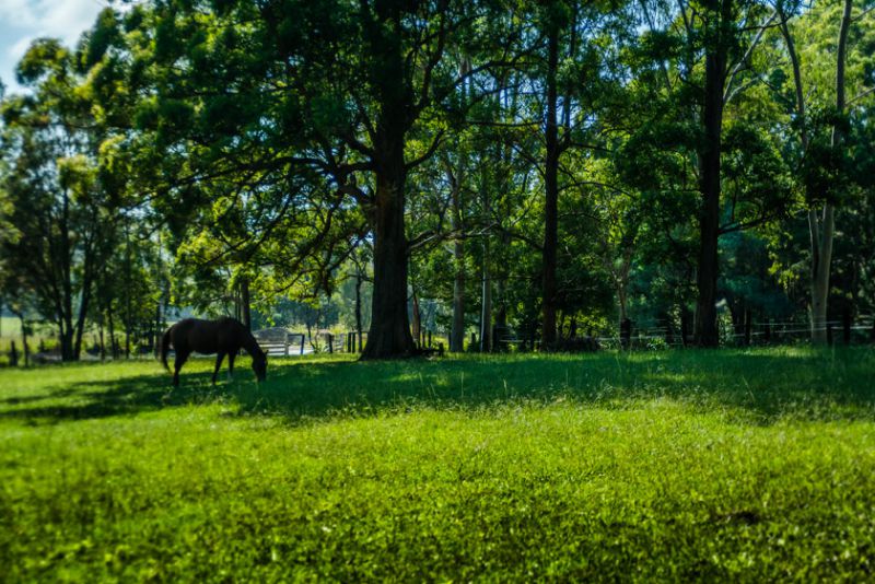 Real Estate in Valla