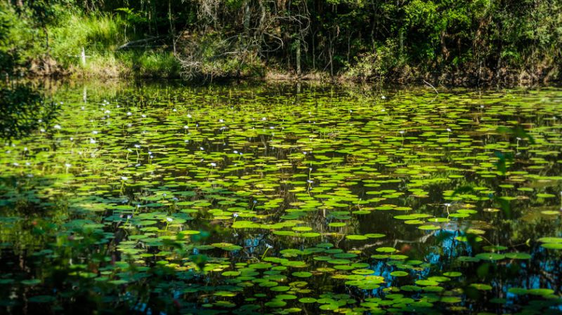 Real Estate in Valla