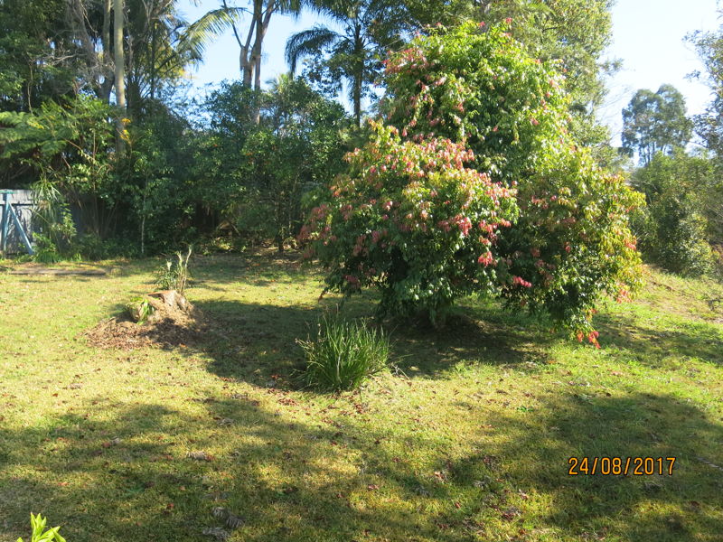 Real Estate in Bellingen