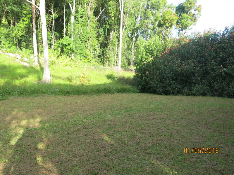 Real Estate in Bellingen