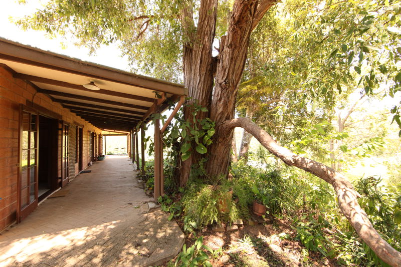 Open for inspection in Bellingen