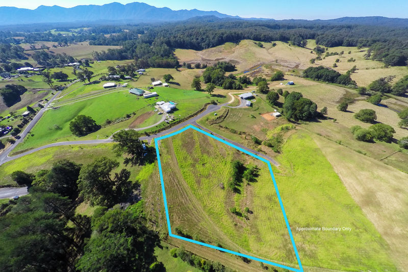 Real Estate in Bellingen