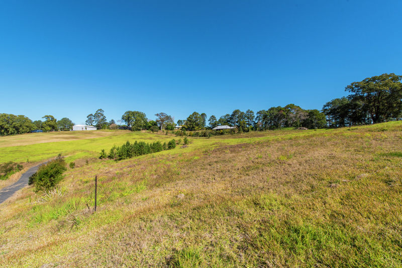 Real Estate in Bellingen