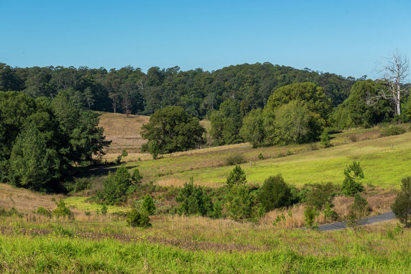 Open for inspection in Bellingen