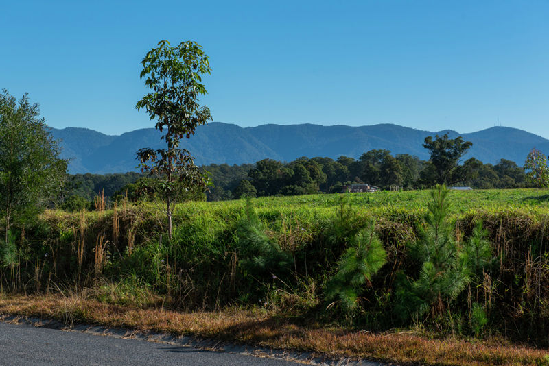 Bellingen real estate Sold