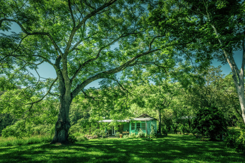 Property Sold in Bellingen