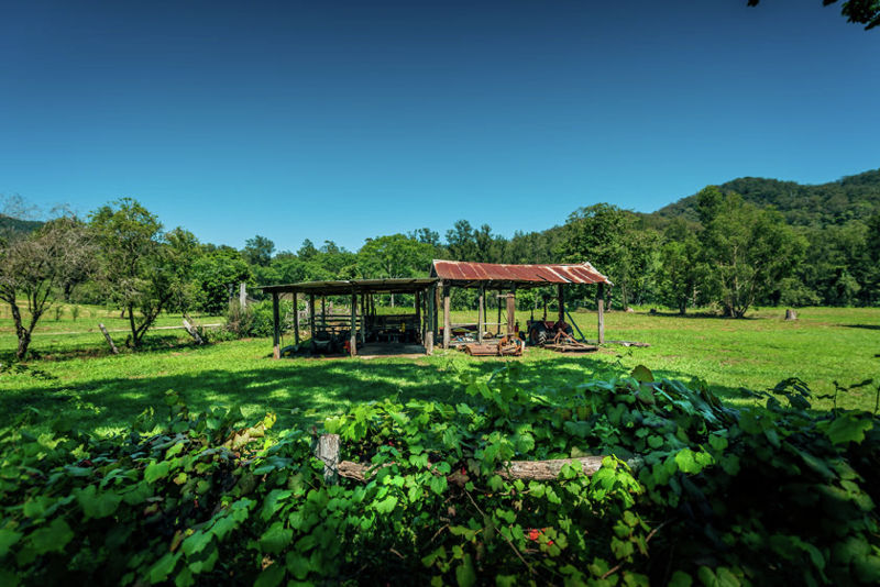 Real Estate in Bellingen