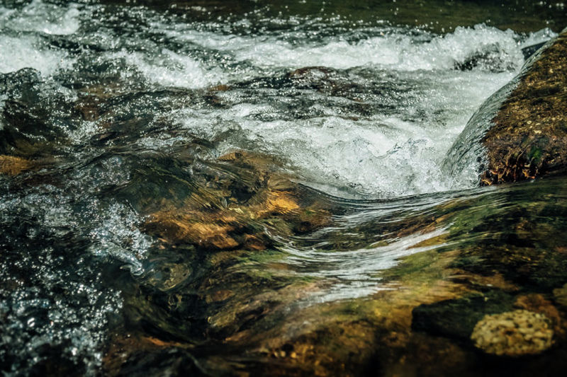 Open for inspection in Bellingen