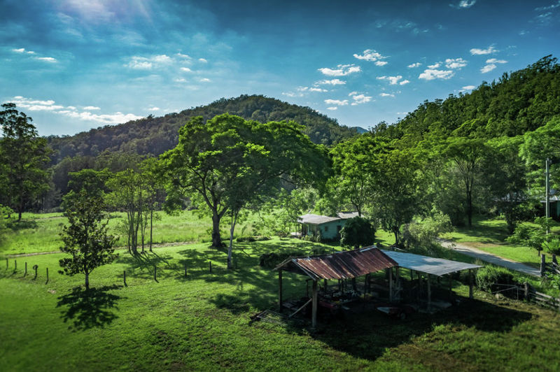 Real Estate in Bellingen