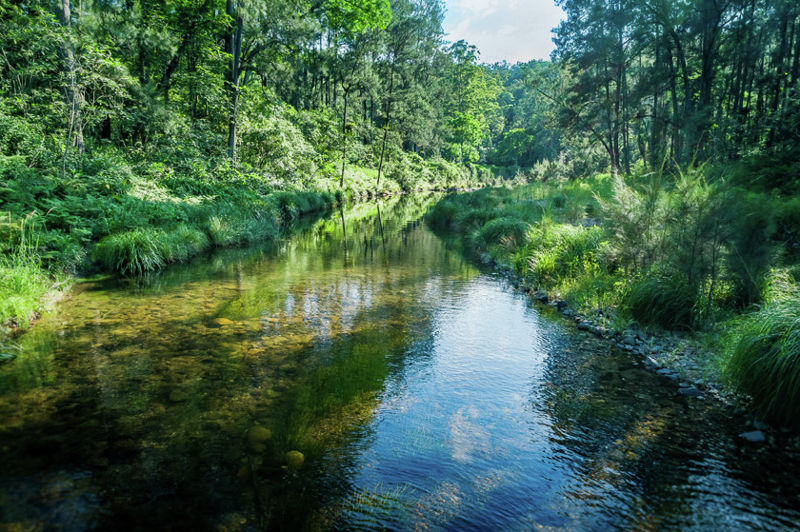 Bellingen real estate Sold