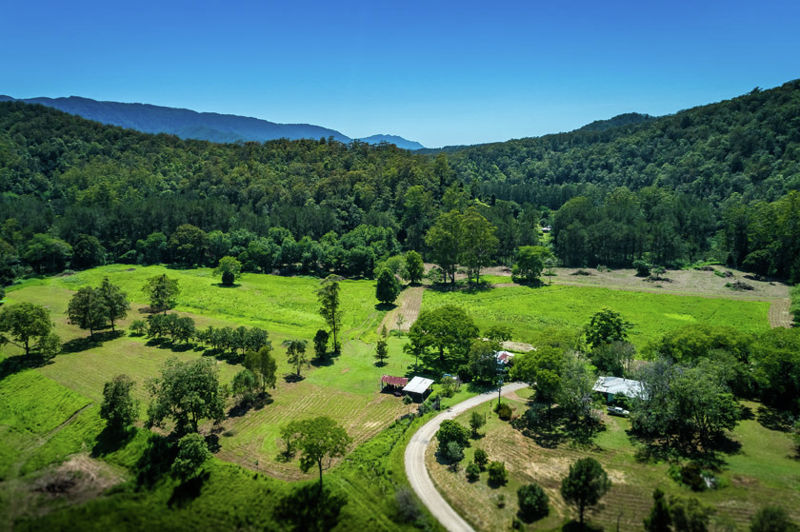Real Estate in Bellingen