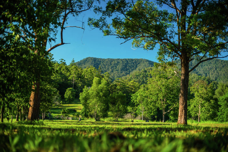 Real Estate in Bellingen