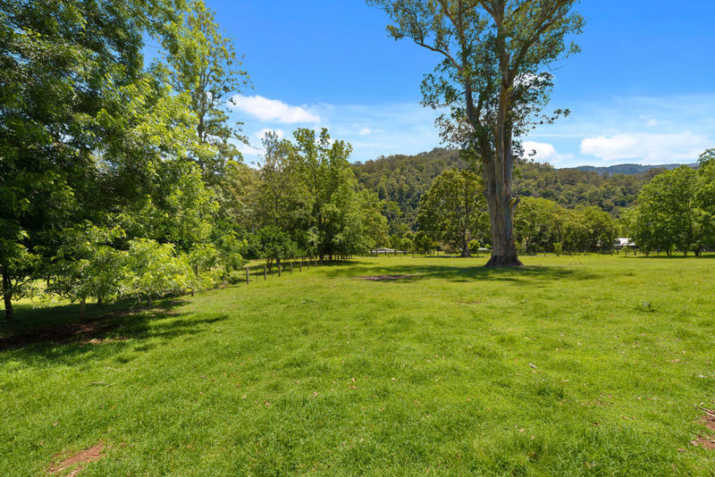 Real Estate in Bellingen