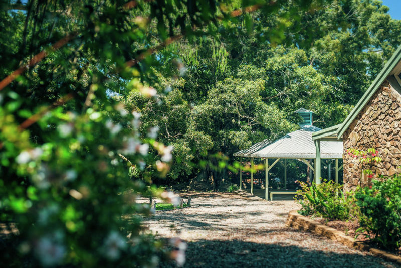 Real Estate in Bellingen
