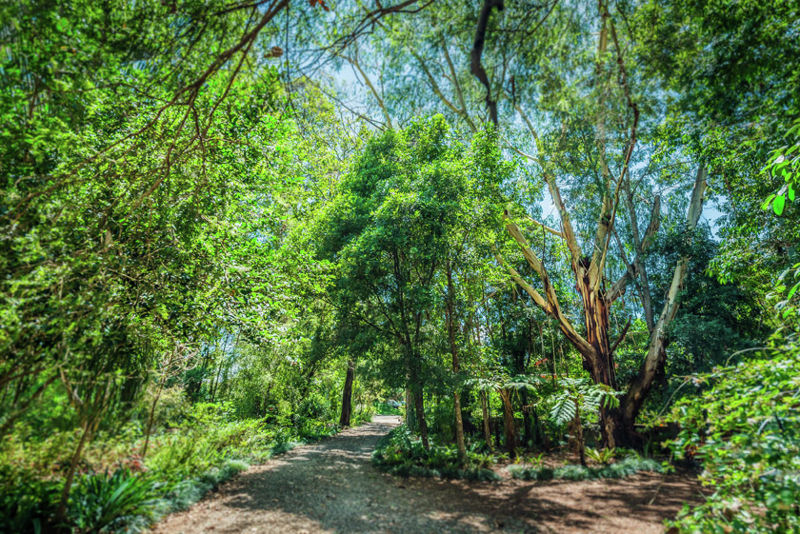 Real Estate in Bellingen