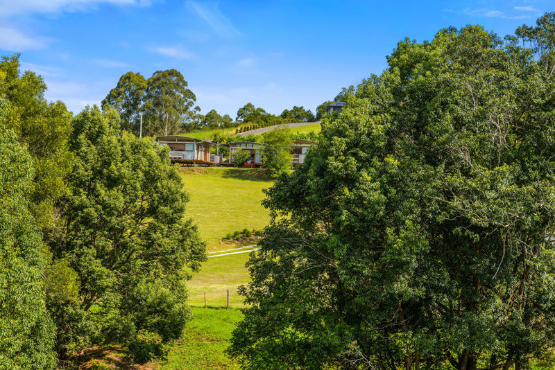 Real Estate in Bellingen